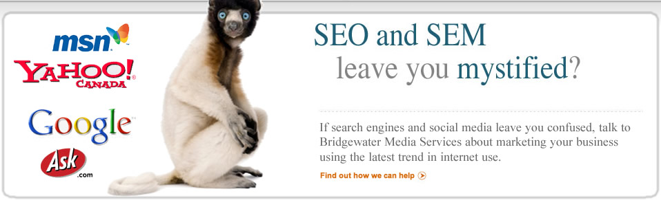 SEO and SEM leave you mystified?